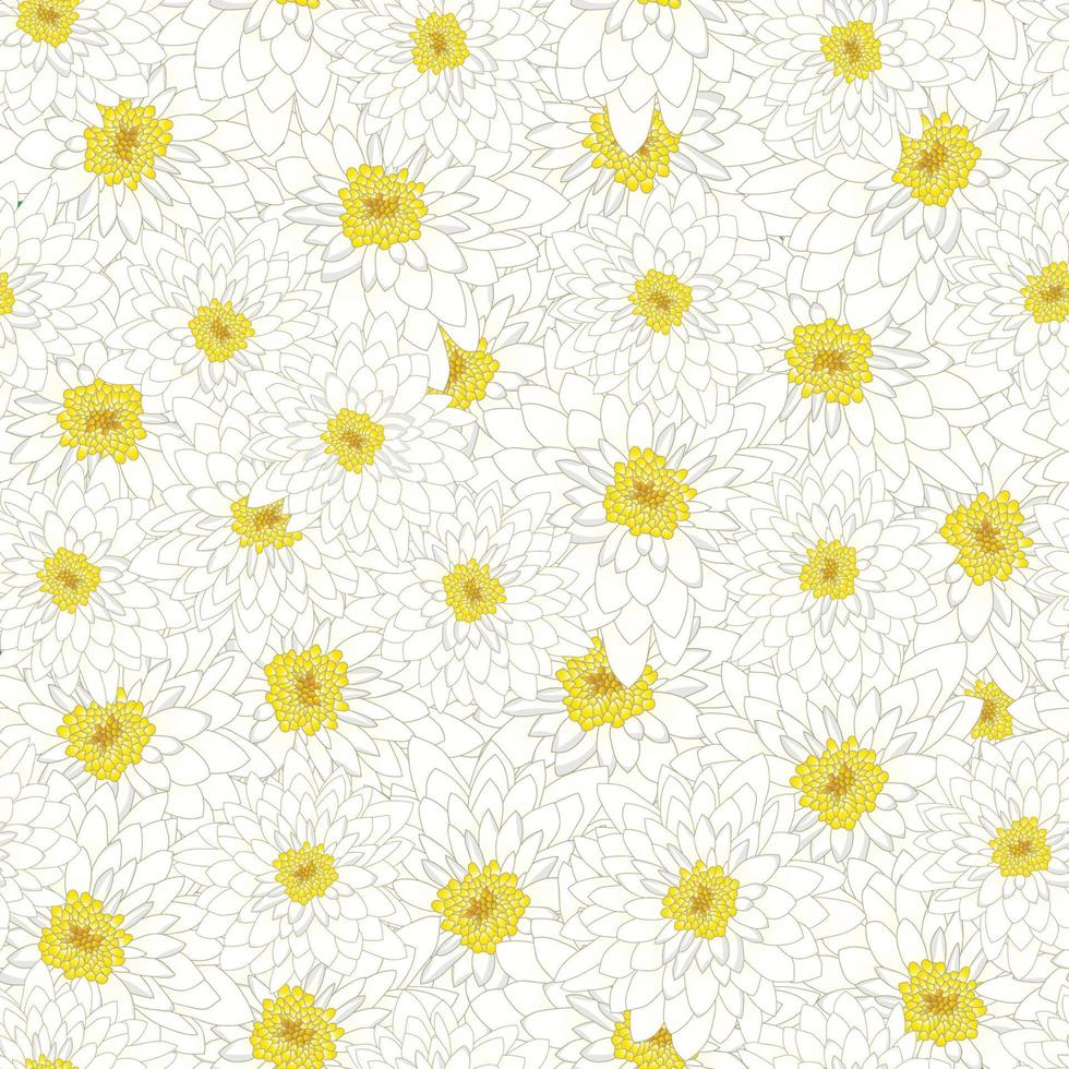 weiße Chrysantheme nahtloser Hintergrund vektor