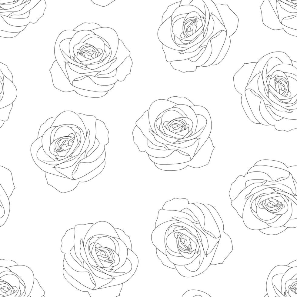 Rose Umriss Hintergrund vektor