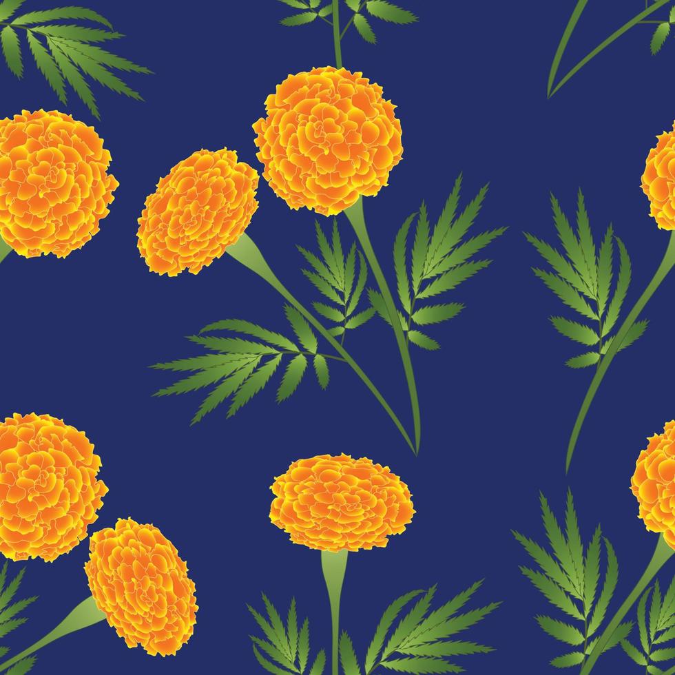 orange Ringelblume auf indigoblauem Hintergrund. Vektor-Illustration vektor