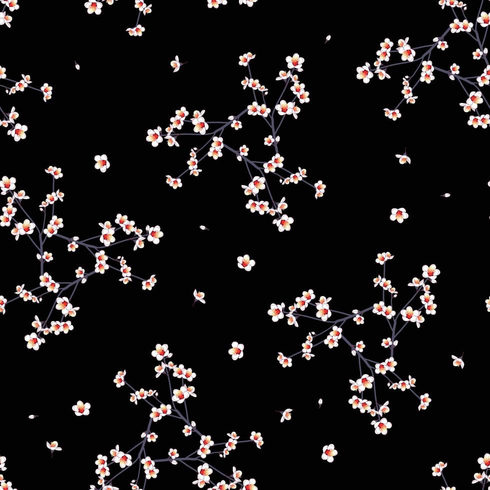 vit momo persika blomma sömlös på svart bakgrund vektor