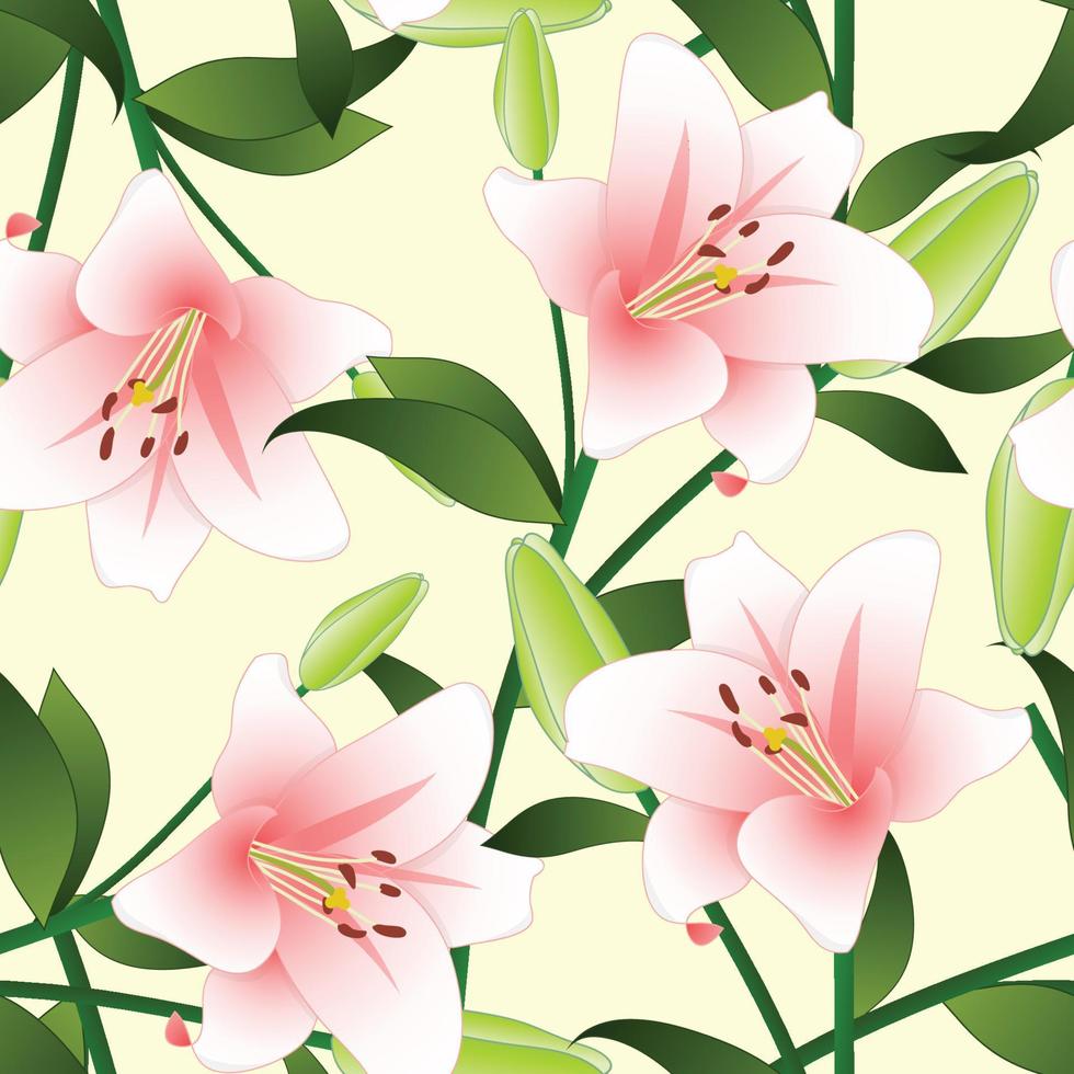 lilium candidum, madonnaliljan eller rosa lilja på beige elfenbensbakgrund. vektor illustration