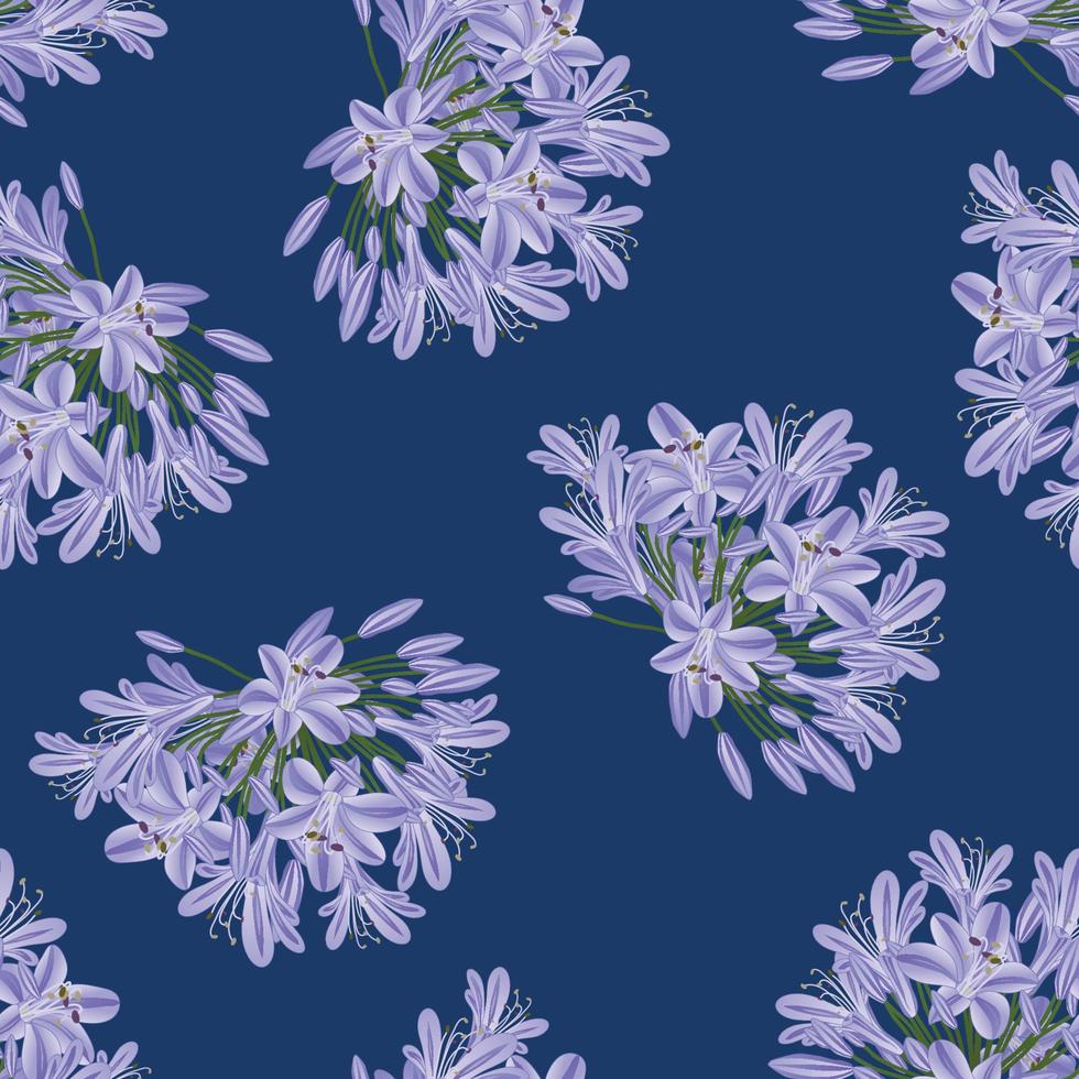 blå lila agapanthus på indigo blå bakgrund vektor