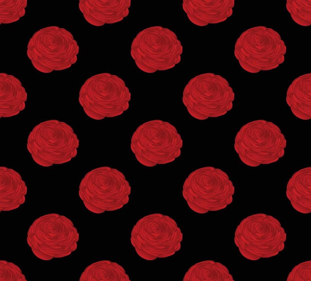 röd ranunculus på svart bakgrund vektor