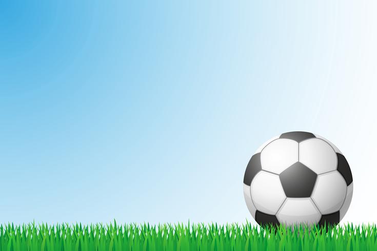 fotboll gräs fält vektor illustration