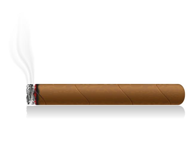 brinnande cigarr vektor illustration