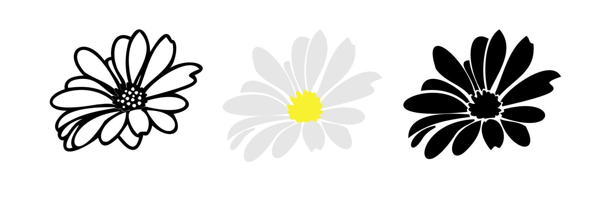 daisy blommiga element handritad vektor