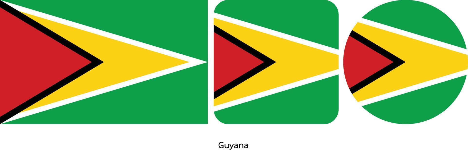 Guyana flagga, vektorillustration vektor