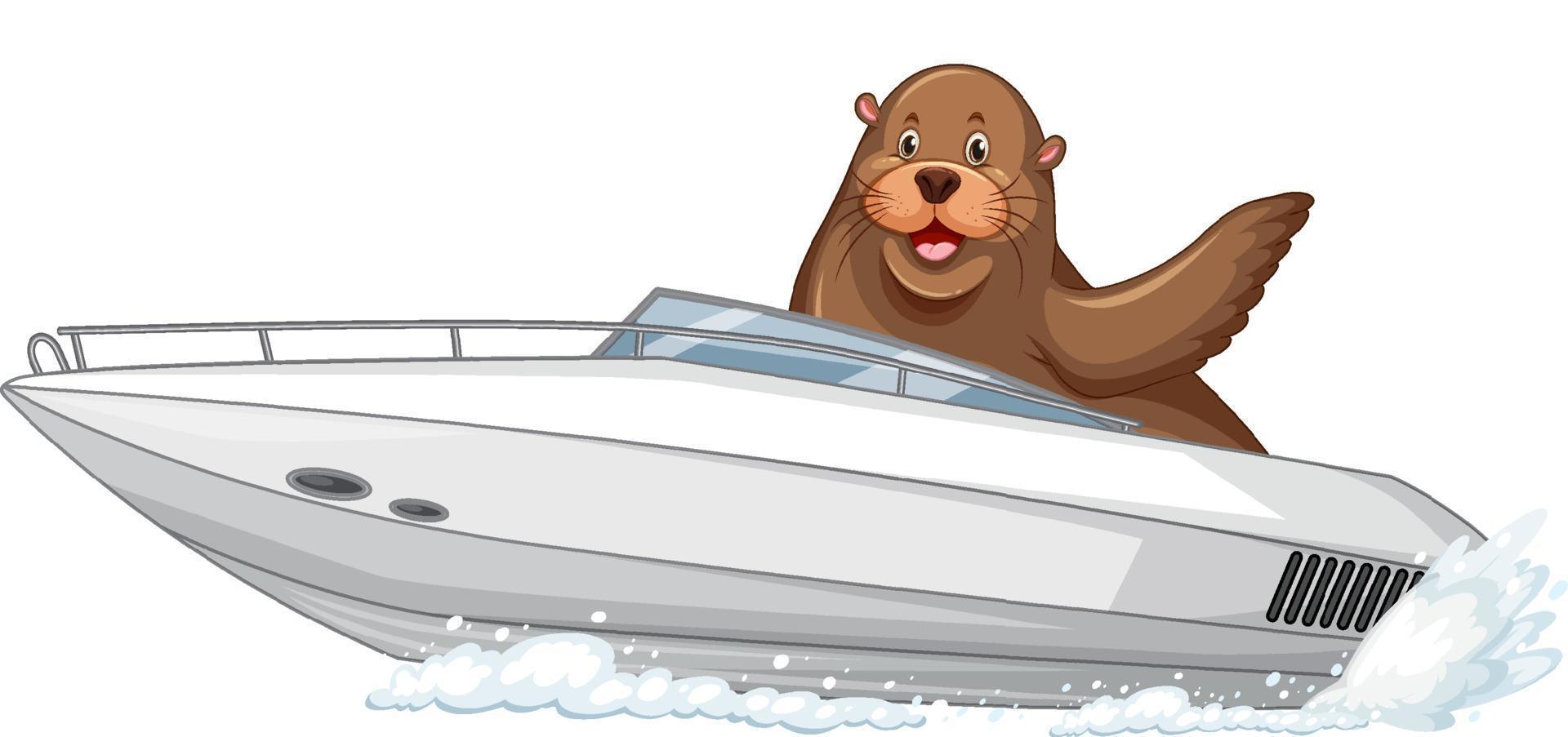 Seelöwe auf Schnellboot im Cartoon-Stil vektor