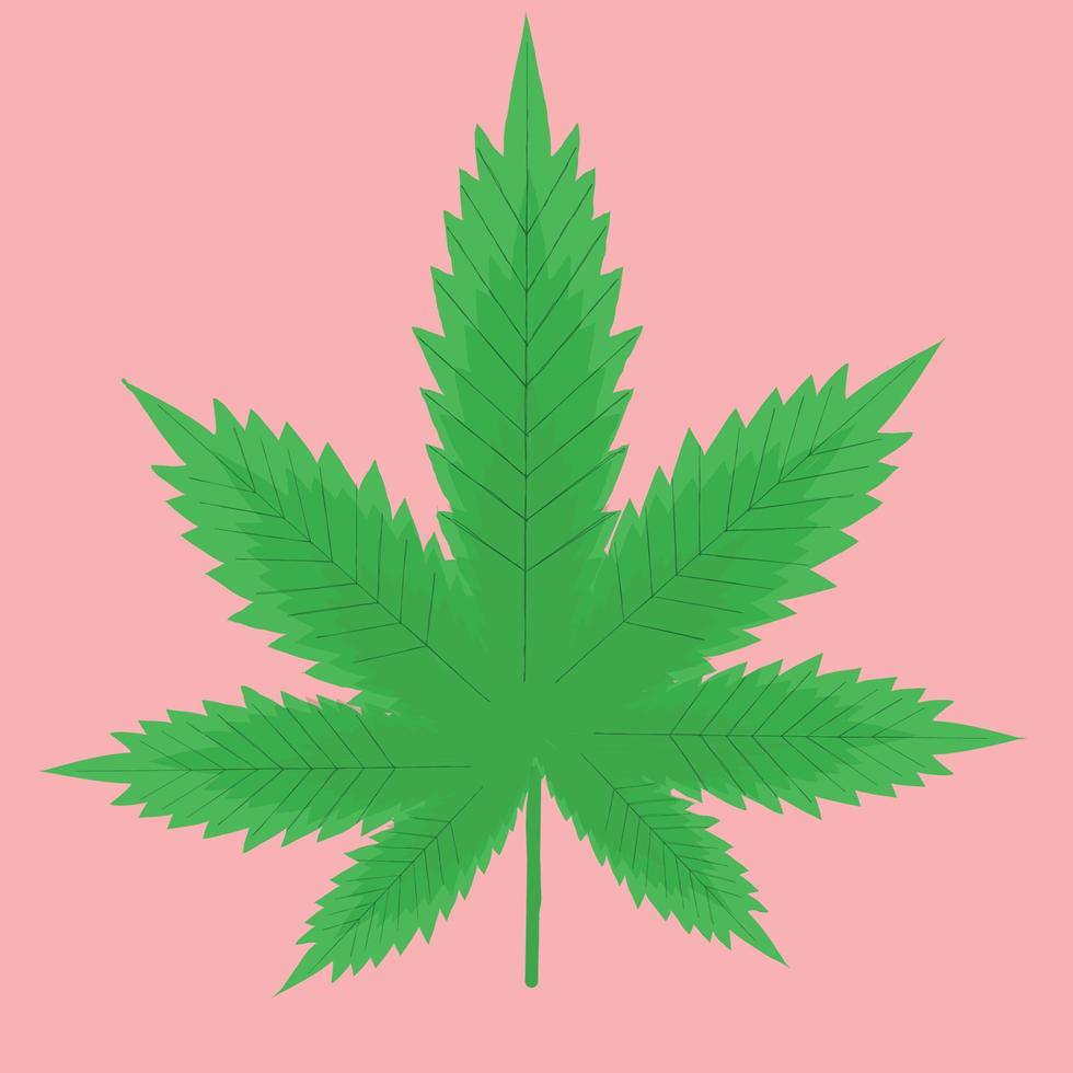 Marihuana-Blatt-Vektor-Illustration vektor