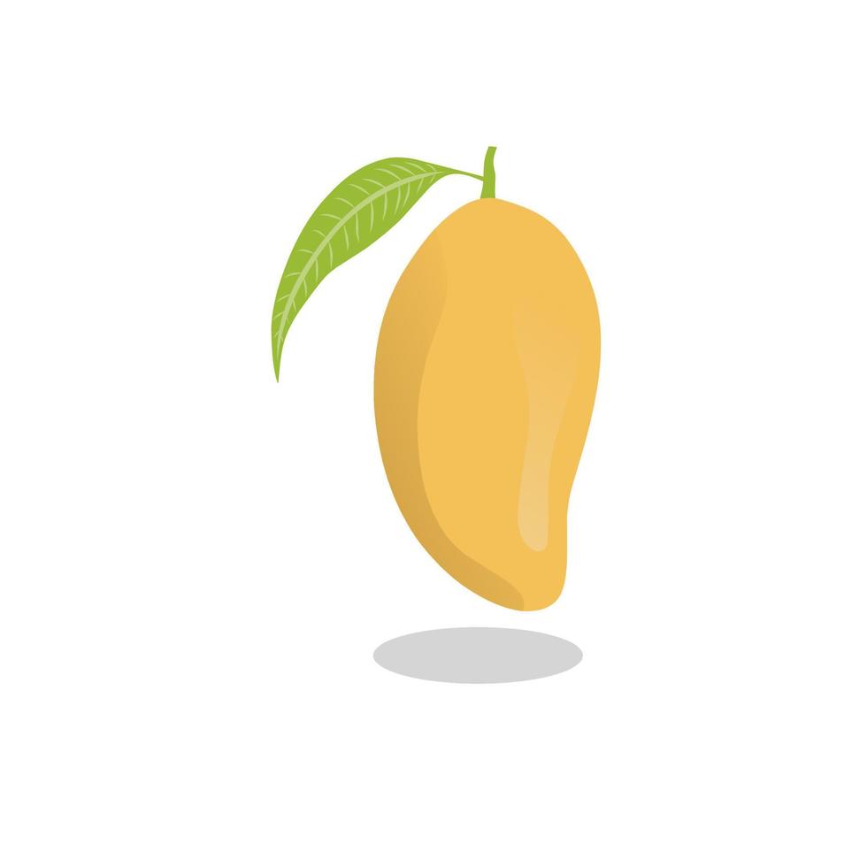 flache Vektordesignillustration der gelben Mango vektor