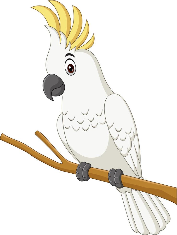 weißer kakadu der karikatur, der auf einem ast sitzt vektor