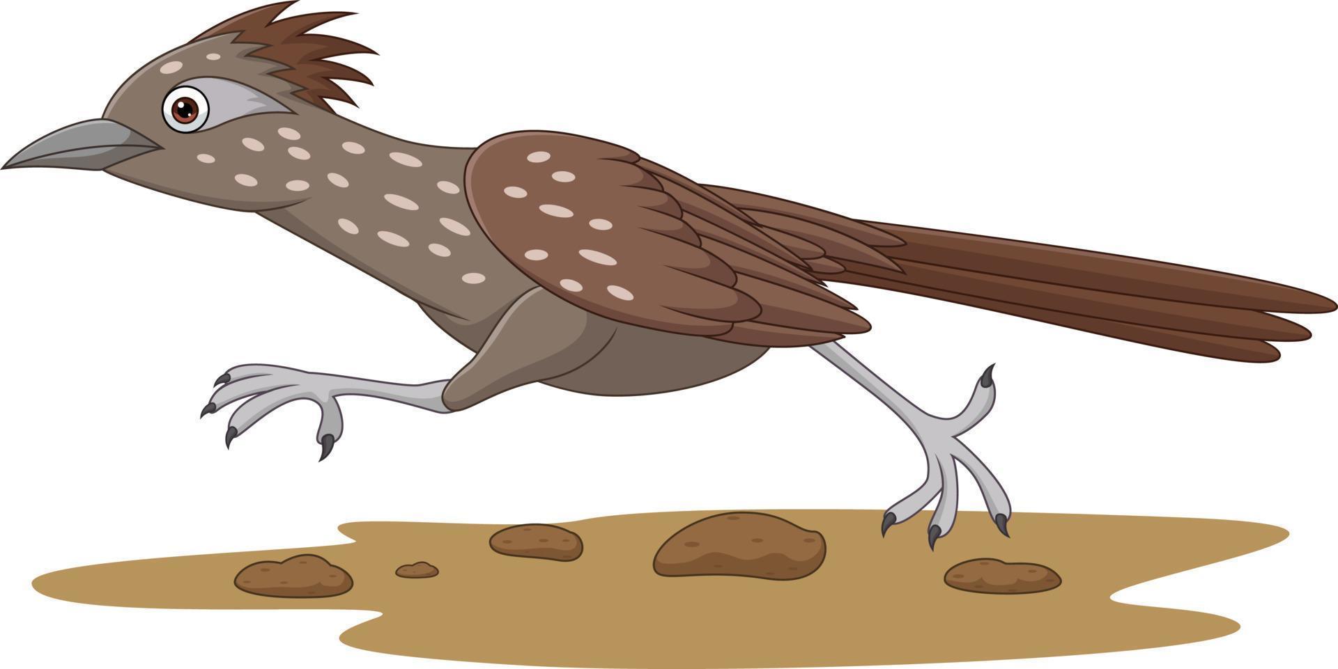 Cartoon-Roadrunner-Vogel, der auf der Straße läuft vektor