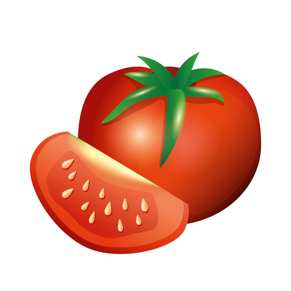 isolerade tomater grönsaker vektor design