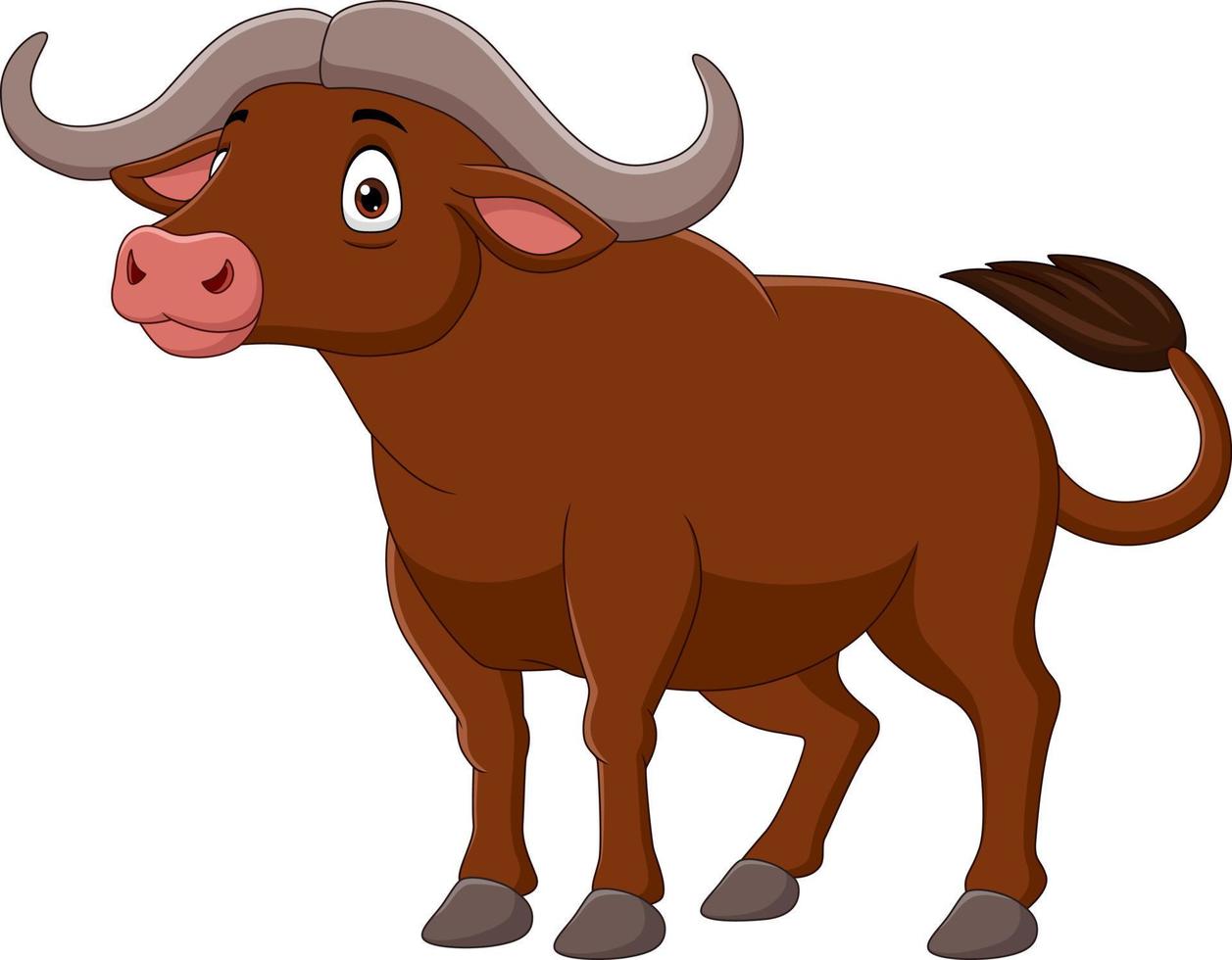 tecknad buffel isolerad på vit bakgrund vektor