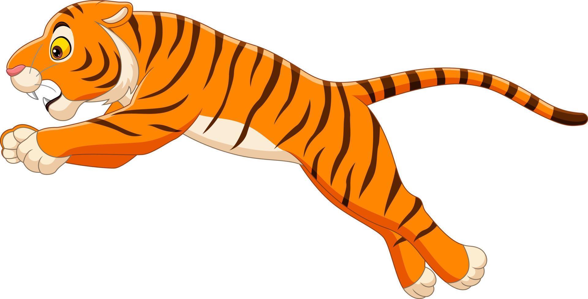 lustiger tiger der karikatur, der auf weißen hintergrund springt vektor
