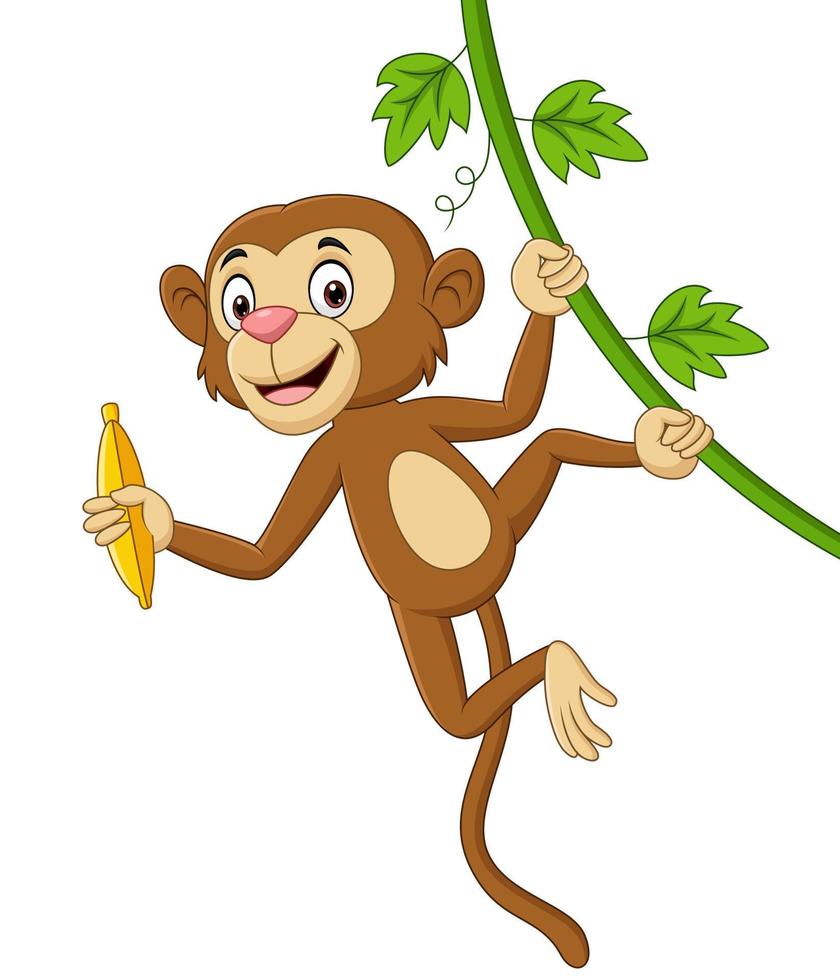 Cartoon-Affe hängt und hält Banane im Ast vektor