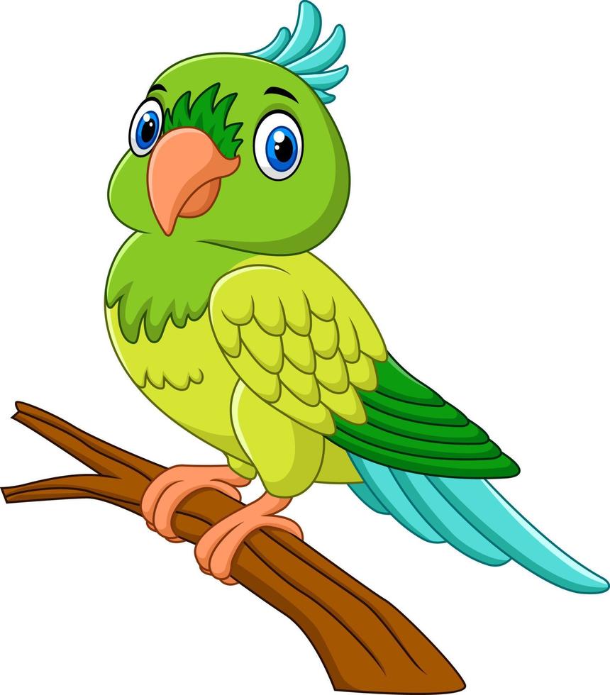 tecknad papegoja på trädgren vektor