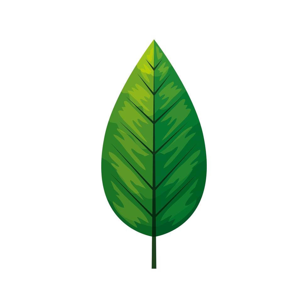 Eco grünes Blatt auf weißem Hintergrund vektor