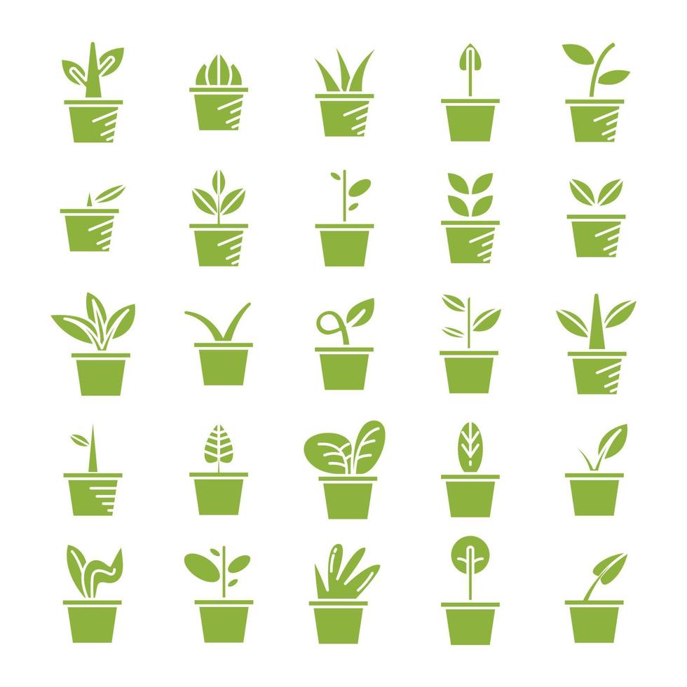 grüne Zimmerpflanze Icons Set vektor