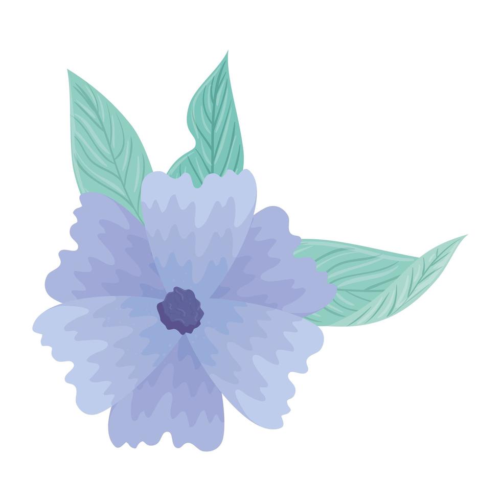 Blumen blaue Farbe Pastell mit Blättern, Naturkonzept vektor