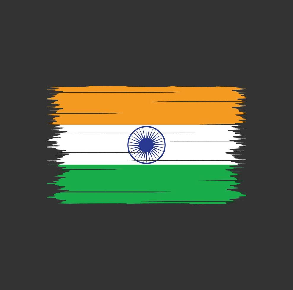 Indien flaggborste vektor