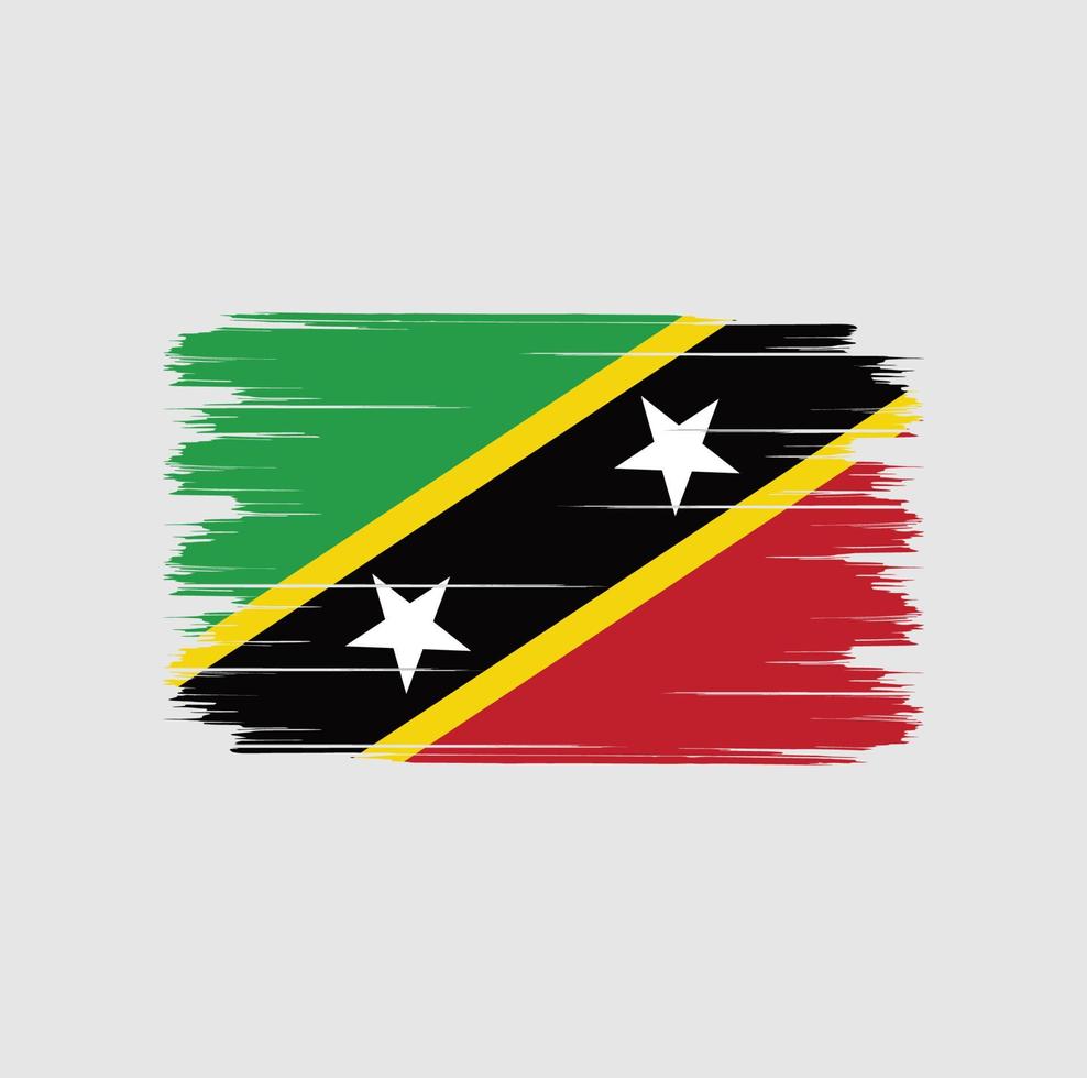 Flaggenbürste St. Kitts und Nevis vektor