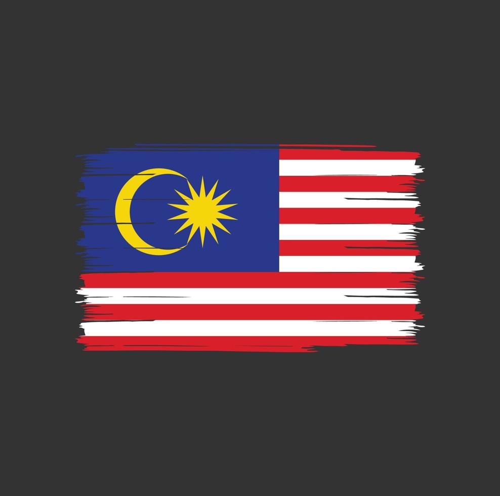 malaysia flaggborste vektor