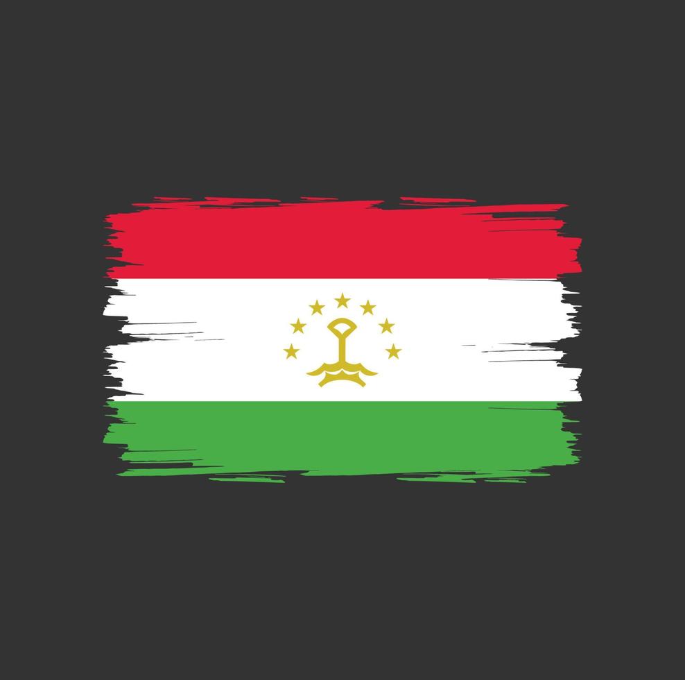 flagge von tadschikistan mit aquarellpinselstil vektor