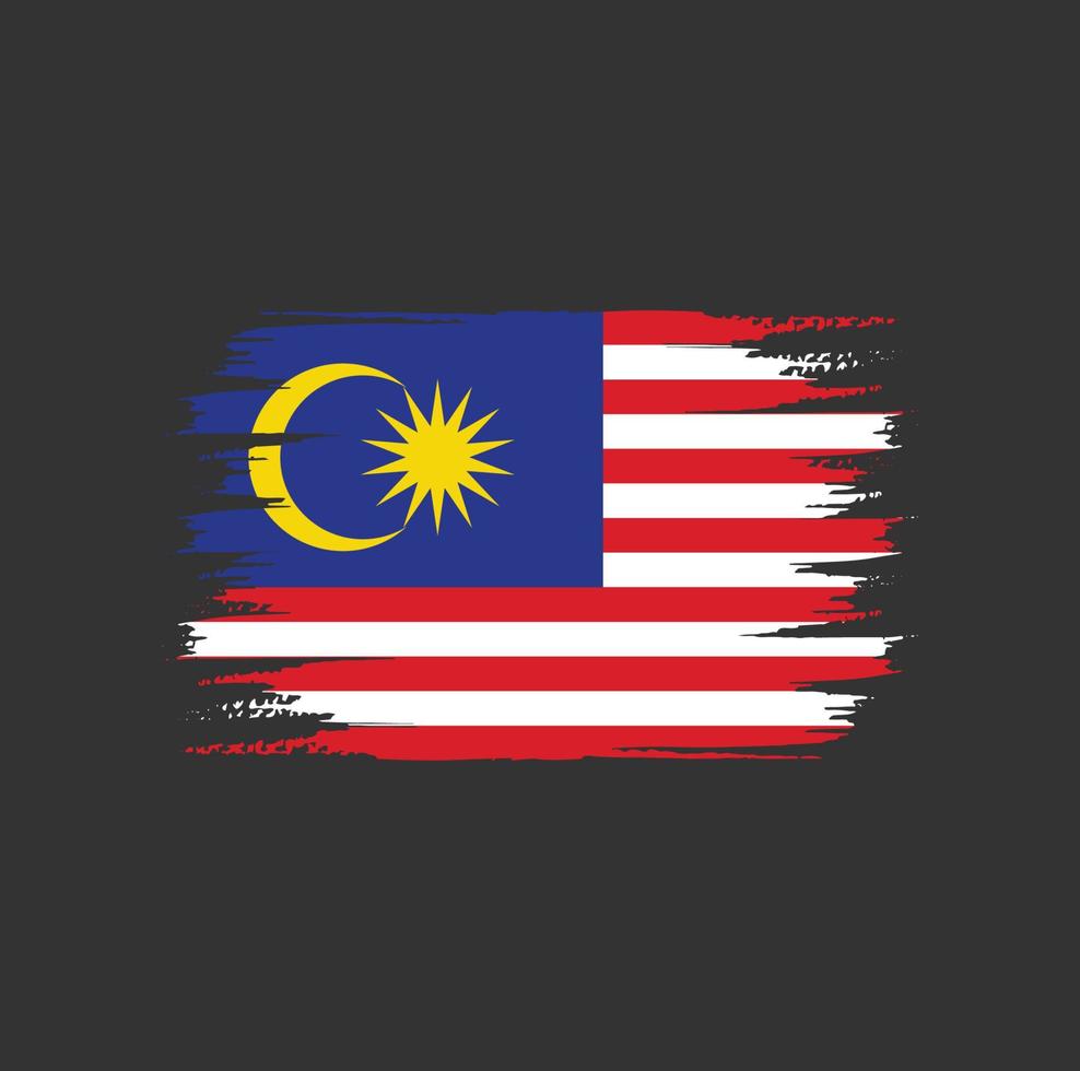 malaysia flaggborste vektor