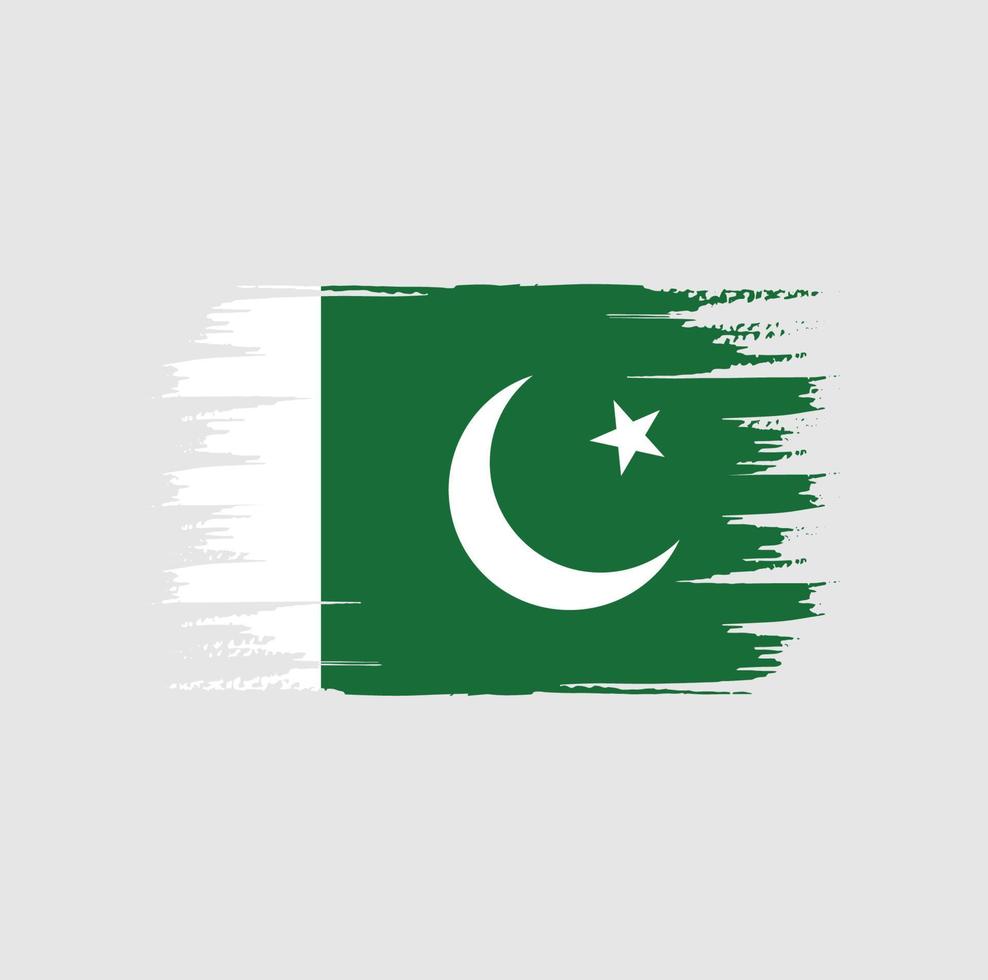 pakistan flaggborste vektor