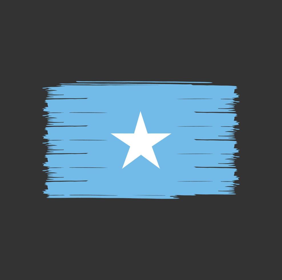somalias flaggborste vektor