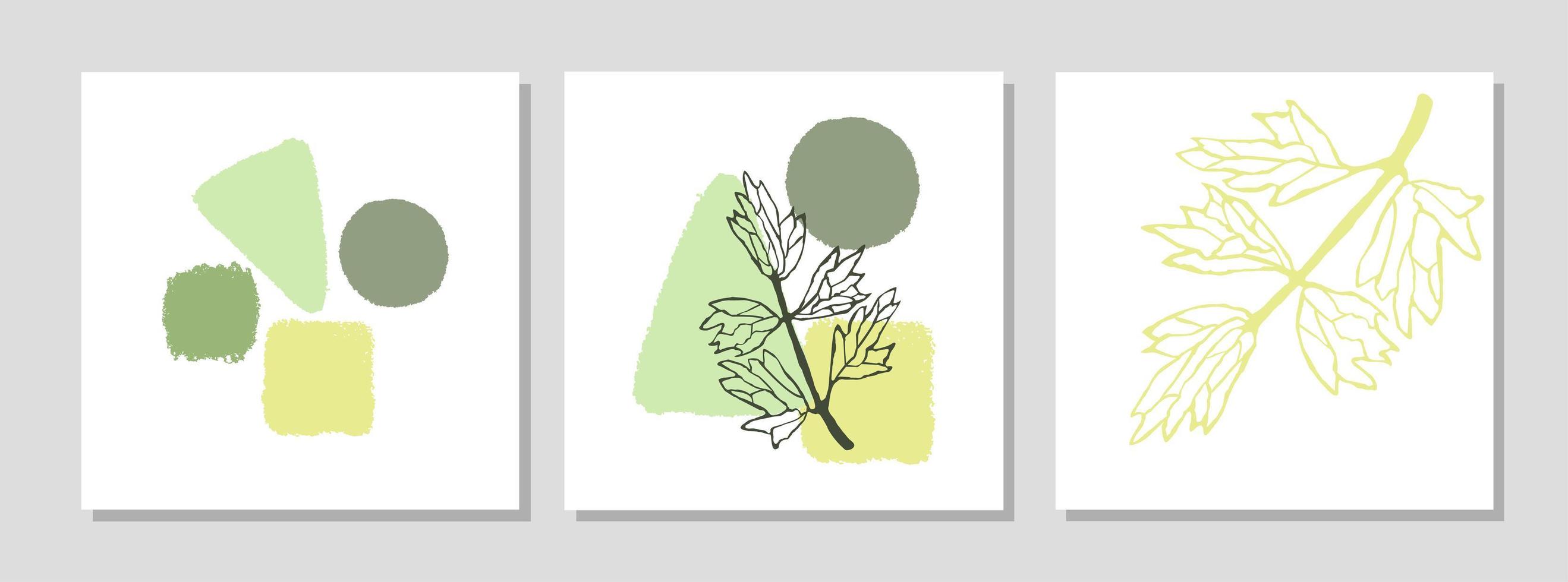 set mit collage modernes plakat mit abstrakten formen und illustration der pflanze vektor