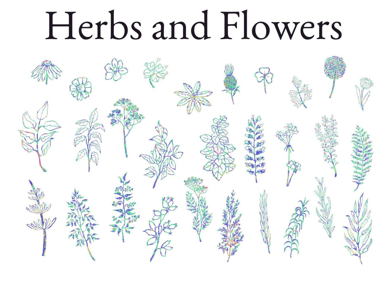 buntes illustrationsset aus kräutern, pflanzen und blumen. handgezeichnete grafische skizzen für ihr design vektor