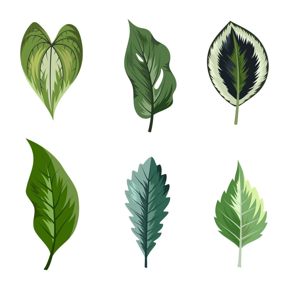 Sammlung von schönen tropischen Blättern lokalisiert auf weißem Hintergrund. vektor