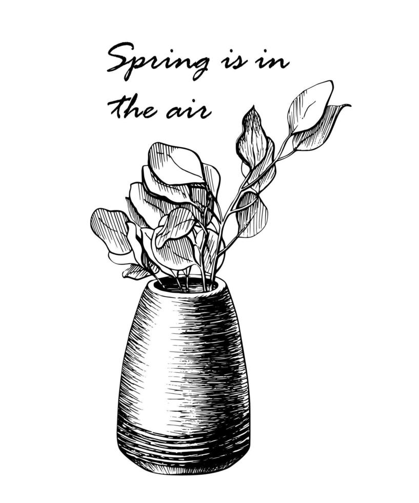 blomma i en kruka linjeteckning. trädgren i en vas vektor handritad illustration. natur våren skiss av en växt isolerad på vit bakgrund