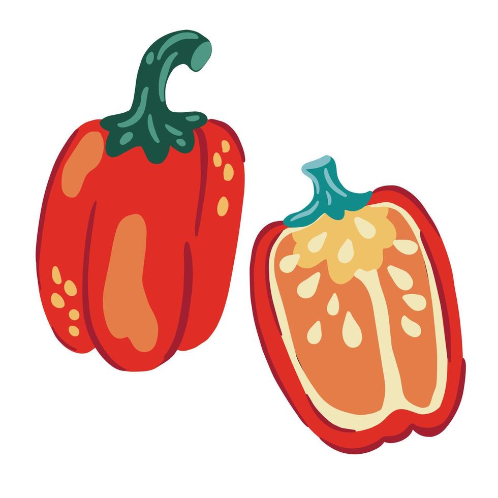 peppar. röd paprika och skivor. grönsaker. hälsosam mat. matlagningsingredienser för din design. tecknad vektorillustration. vektor
