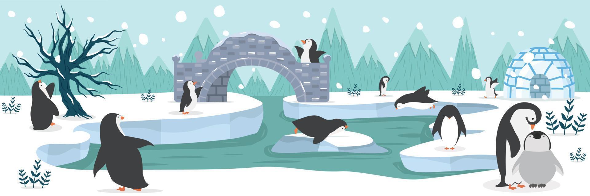 nordpolen arktiska pingviner djur bakgrund vektor