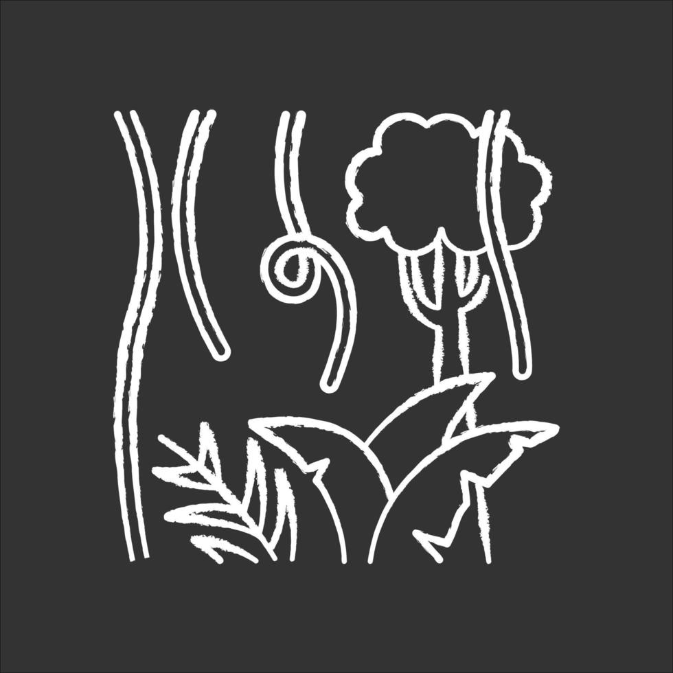 Kreidesymbol für Regenwaldpflanzen und Bäume. immergrüne Waldreben. Lianen und Farnwedel. reise in den indonesischen dschungel. Entdecken Sie die Natur Balis. erkunden Sie die tropische Flora. isolierte vektortafelillustration vektor