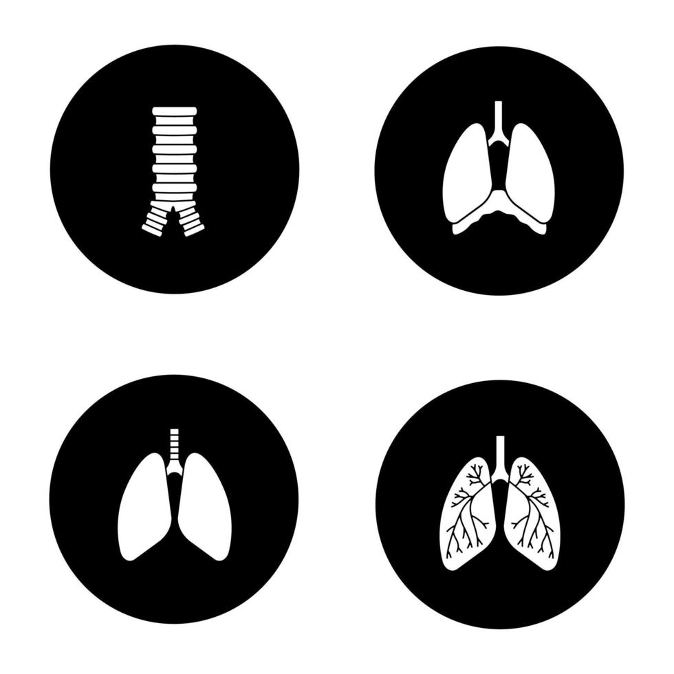 Glyphensymbole für innere Organe gesetzt. Atmungssystem. Luftröhre, Lunge, Bronchien, Bronchiolen, Brusthöhle, Zwerchfell. Vektor weiße Silhouetten Illustrationen in schwarzen Kreisen