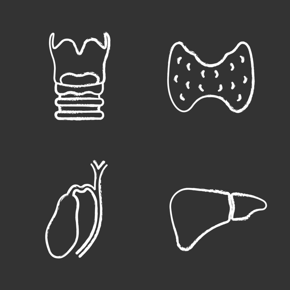 Kreidesymbole für innere Organe gesetzt. Kehlkopf, Schilddrüse, Gallenblase, Leber. isolierte vektortafelillustrationen vektor