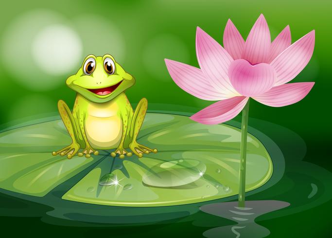 Ein Frosch neben der rosafarbenen Blume am Teich vektor