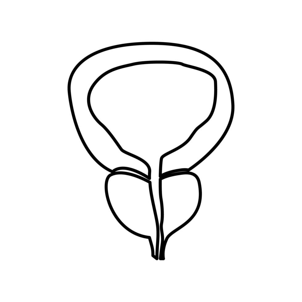 Symbol für Prostata und Blase in schwarzer Farbe. vektor