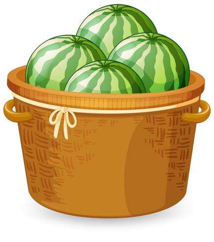 Ein Korb mit Wassermelone vektor