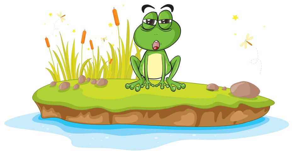 ein Frosch und Wasser vektor