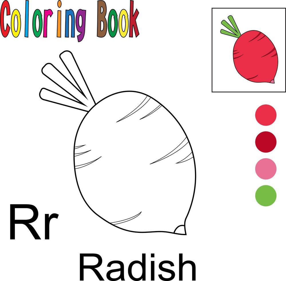 Cartoon-Rettich. Malbuch mit einem Obstthema. Vektor-Illustration-Grafik. gut für Kinder zum Lernen und Ausmalen. vektor