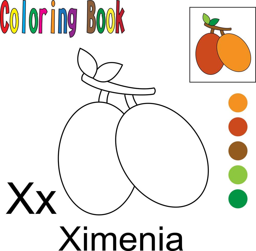 Zeichentrickfilm Ximenia. Malbuch mit einem Obstthema. Vektor-Illustration-Grafik. gut für Kinder zum Lernen und Ausmalen. vektor