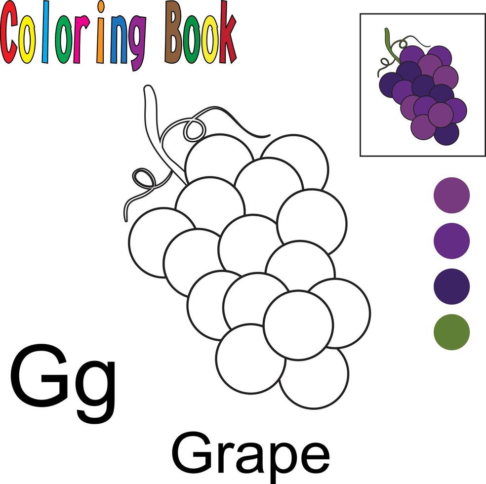 tecknad druva. målarbok med frukttema. vektor illustration grafik. bra för barn att lära sig och färglägga.