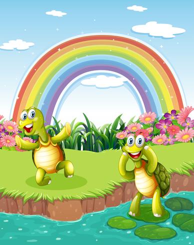 Zwei verspielte Schildkröten am Teich mit einem Regenbogen im Himmel vektor