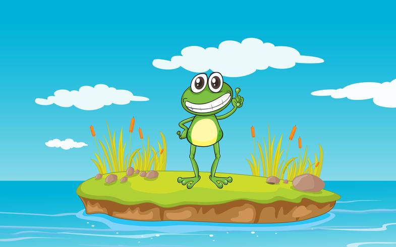 ein Frosch und Wasser vektor