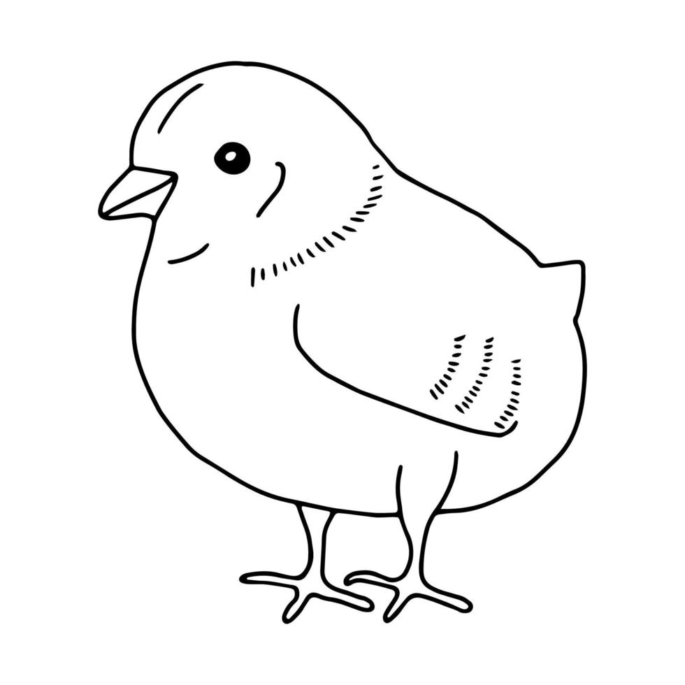 Huhn handgezeichnete Strichzeichnung. konturzeichnung.doodles.drawing für osterferien. kleines chicken.the vogel home.vector illustration vektor